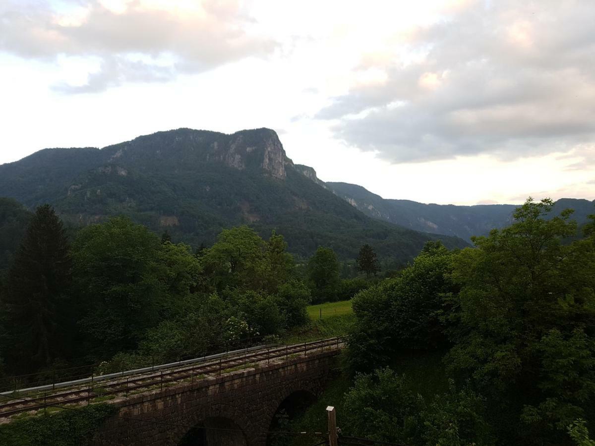 Apartmaji Zupan Bohinjska Bela Exterior foto